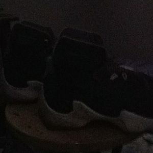 Lebron James x111